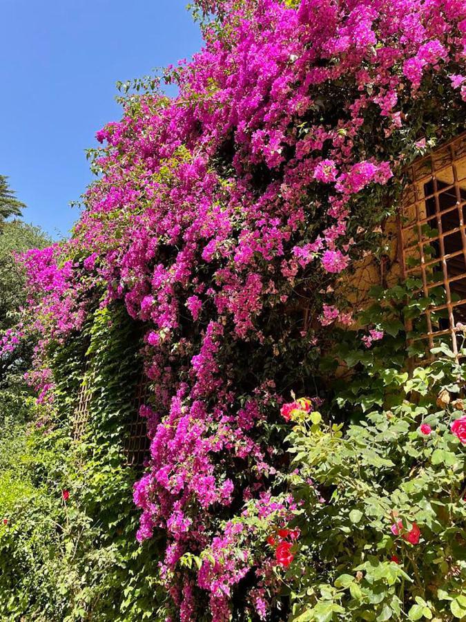 Can Codol De Fluvia - Casita Torroella de Fluviá Exterior foto